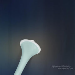 Aperturee - Fotohintergrund Antilles Blue für das Studio