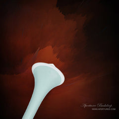 Aperturee - Pop Red In Dark Portrait Fotoshooting Hintergrund