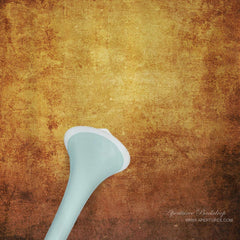 Aperturee - Golden Oldie Texture Portrait Fotostudio Hintergrund