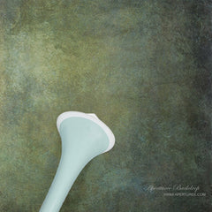 Aperturee - Grüner Retro Hintergrund für abstrakte Fotografie alter Meister