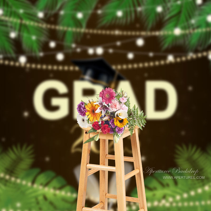 Aperturee - Hawaii Coconut Tree Light Grad 2023 Fotohintergrund