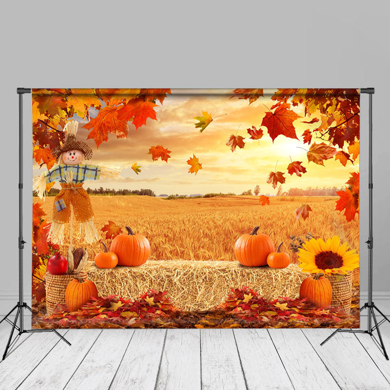 Aperturee - ApertureeHaymow Scarecrow Red Maples Gold Rye Herbsthintergrund