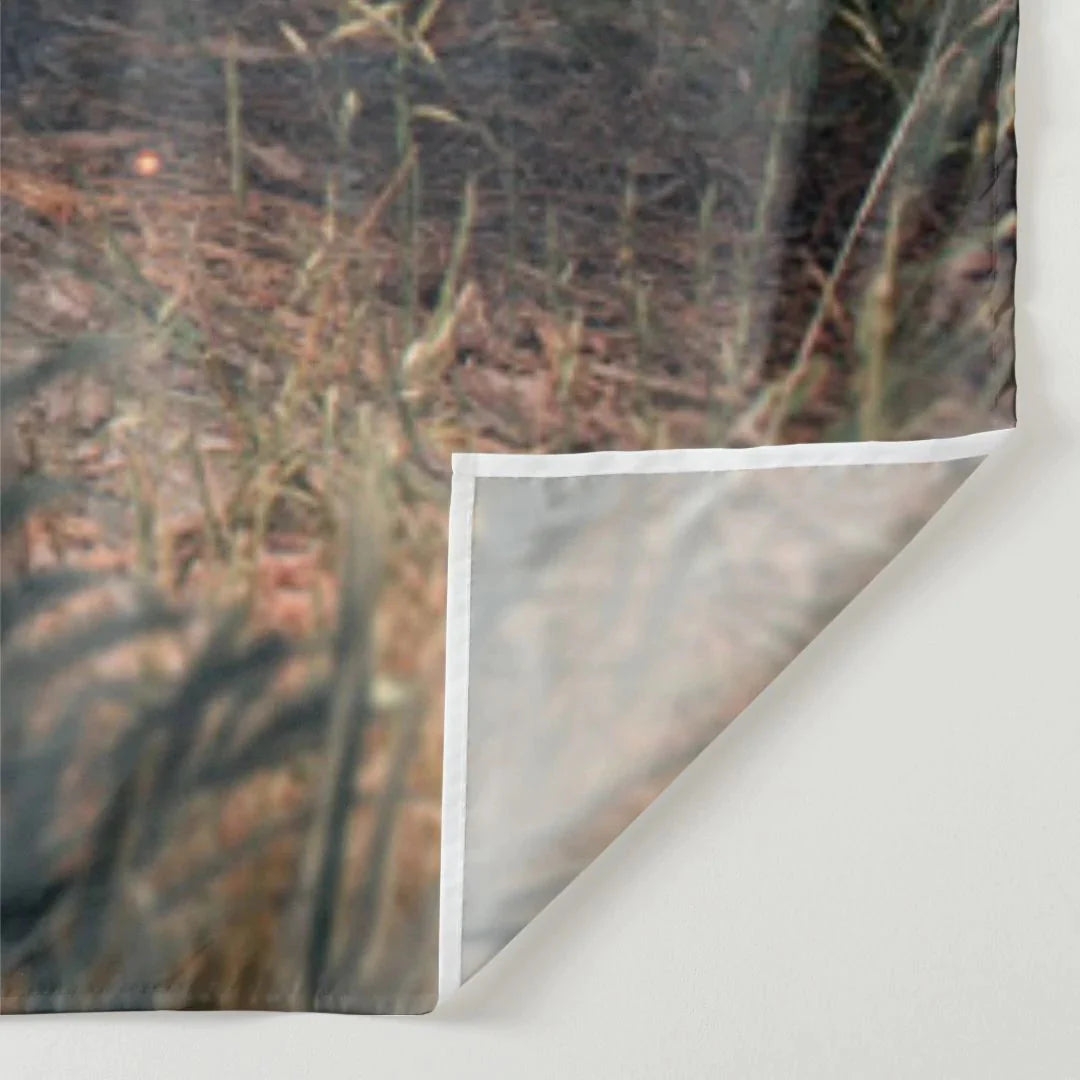 Aperturee - Magischer Wald Wunderland Schmetterlings Frühlings Hintergrund