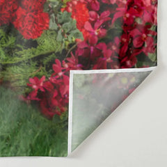 Aperturee - Magic Wonderland Red Rose Happy Valentine Hintergrund