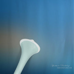 Aperturee - Maui Thema abstrakter Fotostudio Hintergrund