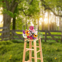 Aperturee - Morgenwarmer Sonnenlicht Grasland Frühlings Fotohintergrund