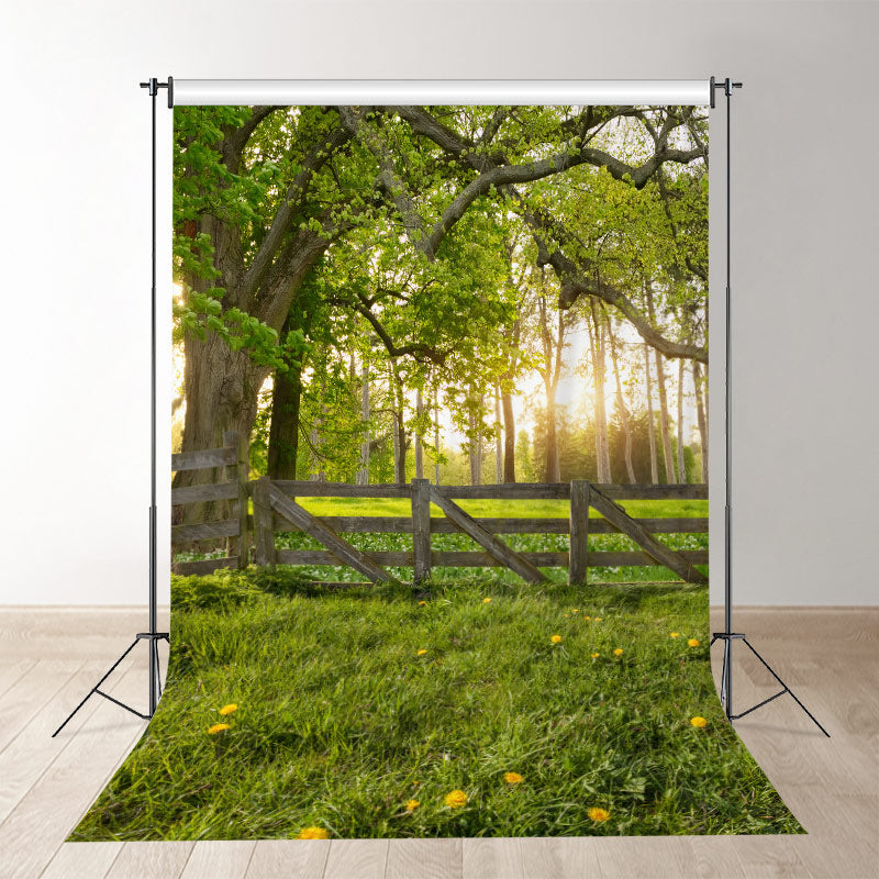 Aperturee - Morgenwarmer Sonnenlicht Grasland Frühlings Fotohintergrund