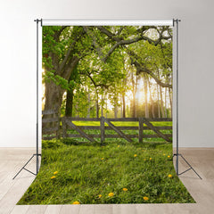Aperturee - Morgenwarmer Sonnenlicht Grasland Frühlings Fotohintergrund
