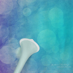 Aperturee - Mountain Mist Bokeh Light Photo Booth Hintergrund