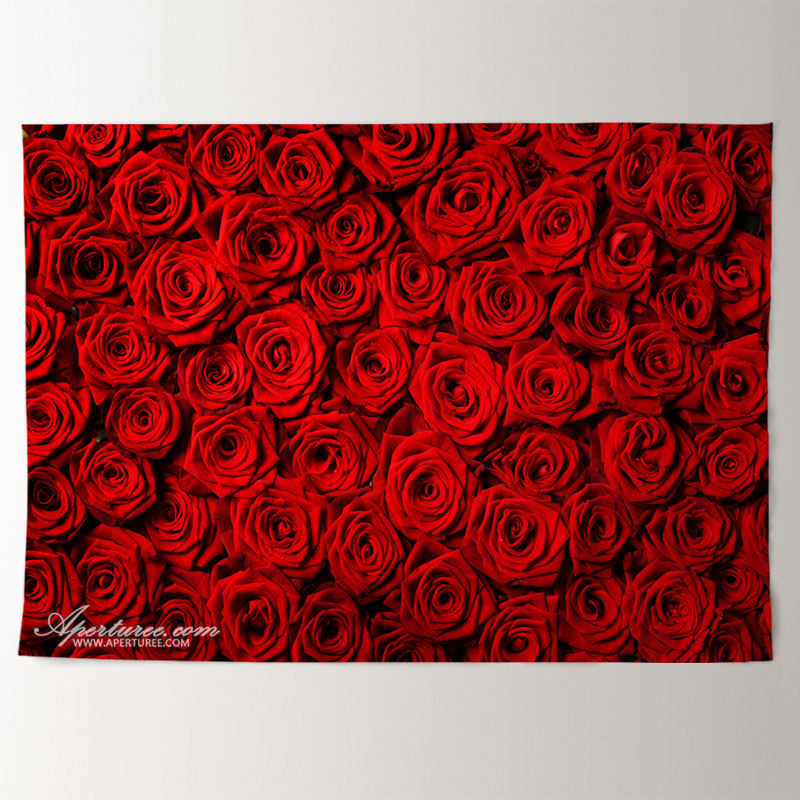 Aperturee - Rote Rose einfacher süßer glücklicher Valentinstag Hintergrund
