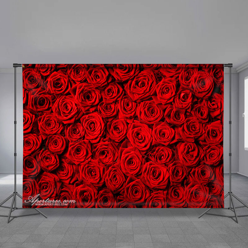 Aperturee - Rote Rose einfacher süßer glücklicher Valentinstag Hintergrund
