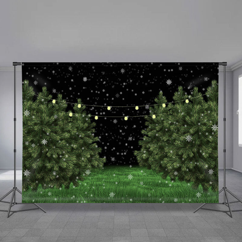 Aperturee - Verschneiter grüner Grasbaum beleuchtet Winterabend Hintergrund