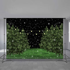 Aperturee - Verschneiter grüner Grasbaum beleuchtet Winterabend Hintergrund