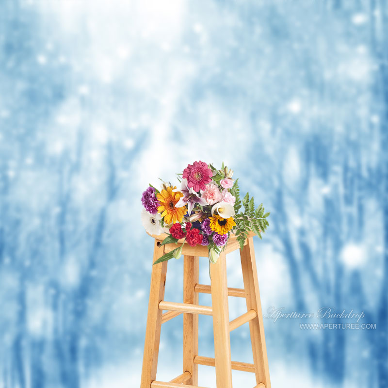 Aperturee - Verschneiter magischer Wald blauer verträumter Winter Fotohintergrund