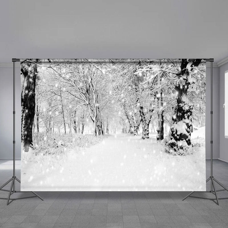 Aperturee - Verschneites Tal im Wald Winter Weihnachtshintergrund