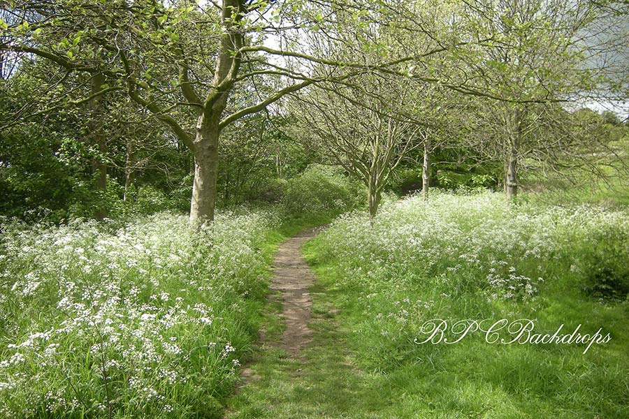 Aperturee – Frühlingsblühende Blumen grüner Wald Fotokabinen Hintergrund