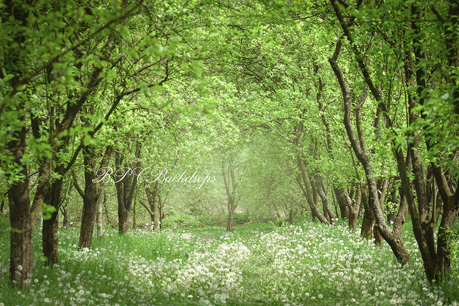 Aperturee – Frühlings Sommer Blumen Wald Hintergrund für Fotoautomaten